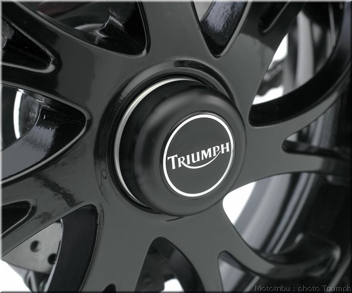 triumph-speedtriple2008_10