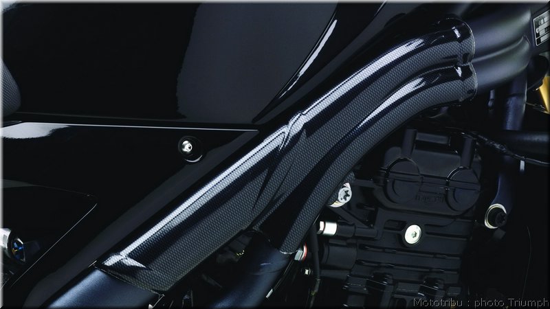 triumph-speedtriple2008_16
