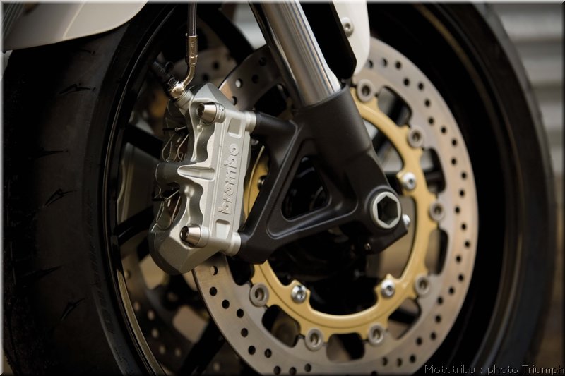 triumph-speedtriple2008_29