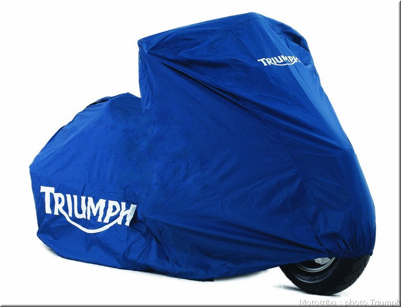 triumph-speedtriple2008_30