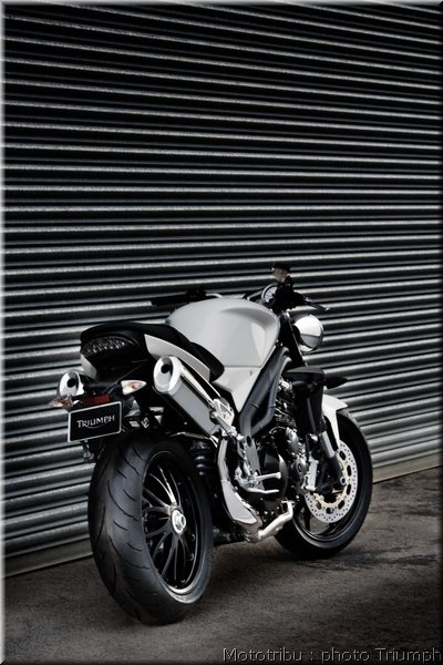 triumph-speedtriple2008_34