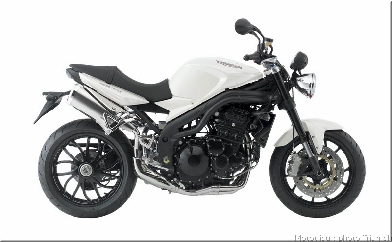 triumph-speedtriple2008_36