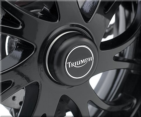 triumph-speedtriple2008_10.jpg