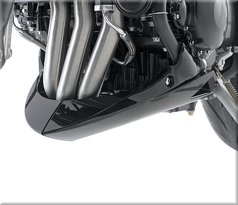 triumph-speedtriple2008_15.jpg