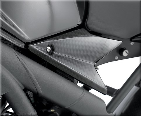 triumph-speedtriple2008_22.jpg