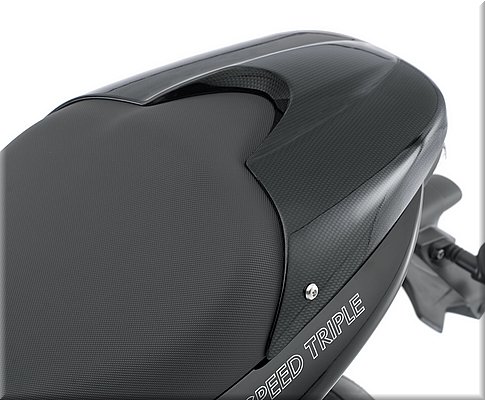 triumph-speedtriple2008_26.jpg
