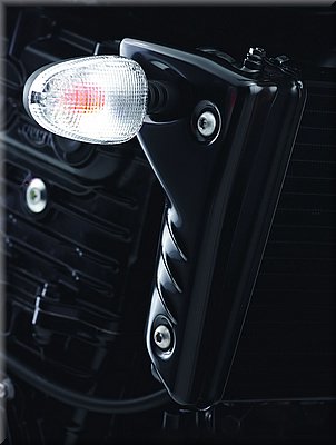 triumph-speedtriple2008_31.jpg