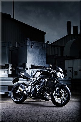 triumph-speedtriple2008_32.jpg