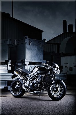 triumph-speedtriple2008_33.jpg