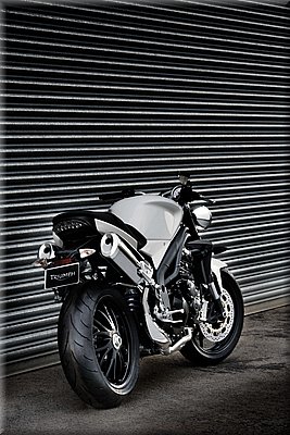 triumph-speedtriple2008_34.jpg
