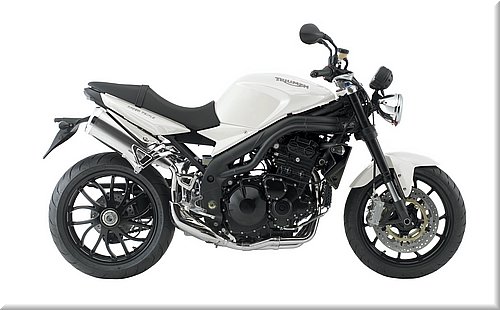 triumph-speedtriple2008_36.jpg
