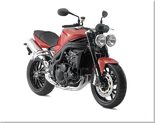 triumph-speedtriple2008_38.jpg