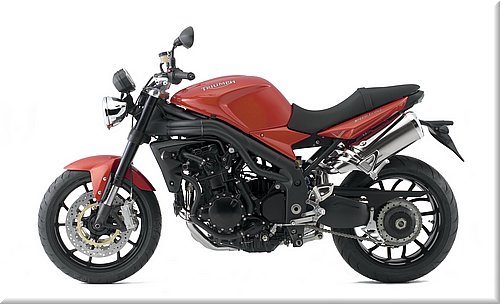 triumph-speedtriple2008_39.jpg