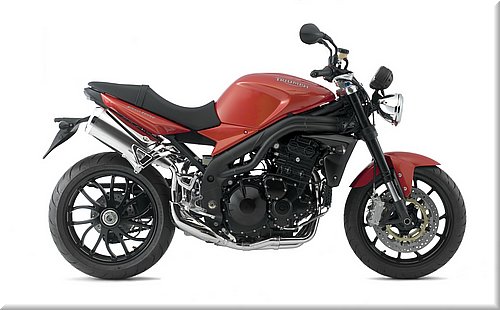 triumph-speedtriple2008_40.jpg