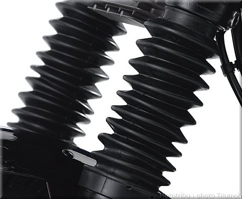 022_thruxton_fork_gaitors.jpg