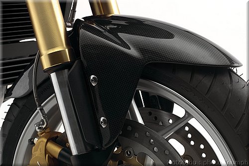 017_tiger_carbon_front_mudguard.jpg