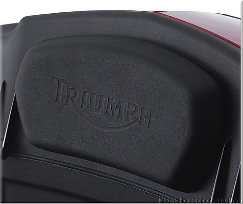 030_tiger_top_box_backrest.jpg