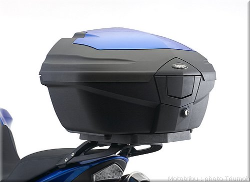 031_tiger_top_box.jpg