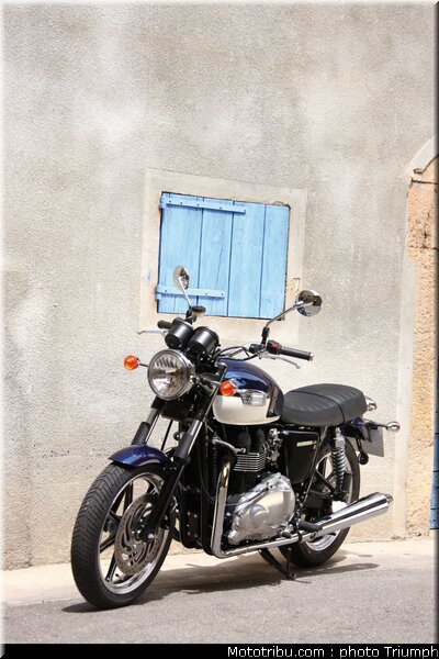 triumph_bonneville_se_1_2009