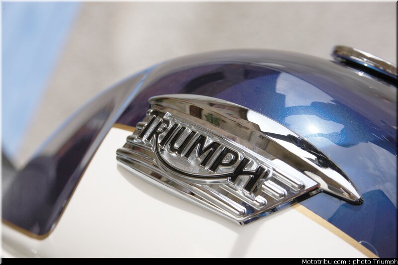 triumph_bonneville_se_3_2009