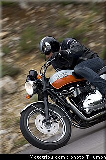 triumph_bonneville_06_2009.jpg