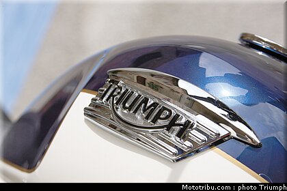 triumph_bonneville_se_3_2009.jpg