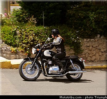 triumph_bonneville_t_100_2_2009.jpg