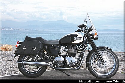 triumph_bonneville_t_100_3_2009.jpg