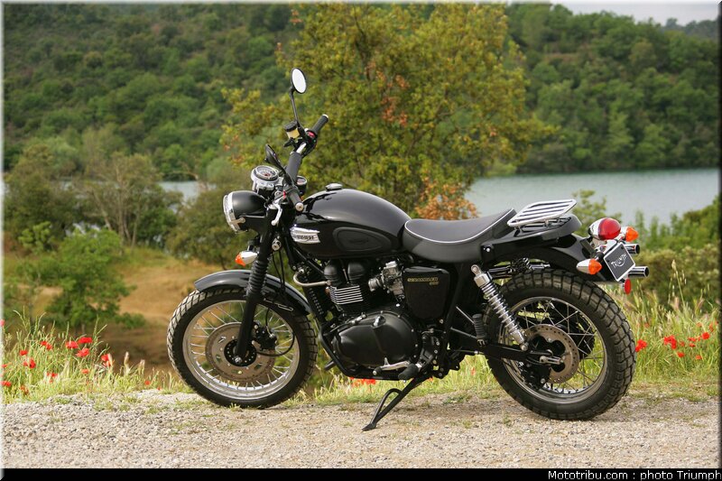 triumph_scrambler_3_2009