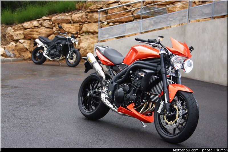 triumph_speed_triple_4_2009