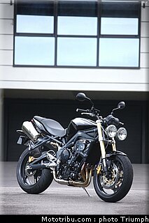 triumph_street_triple_3_2009.jpg