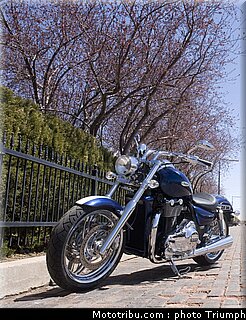 triumph_thunderbird_3_2009.jpg