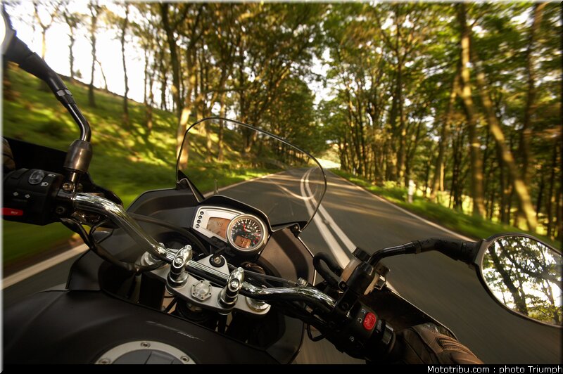 triumph_tiger_1_2009