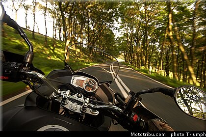 triumph_tiger_1_2009.jpg