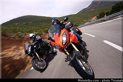 triumph_tiger_3_2009.jpg