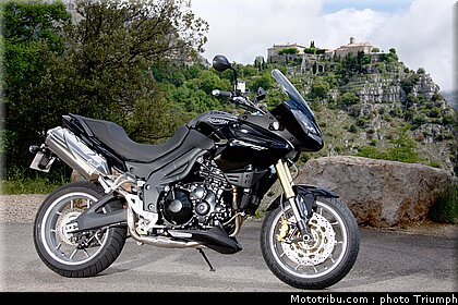 triumph_tiger_4_2009.jpg