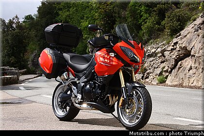triumph_tiger_5_2009.jpg