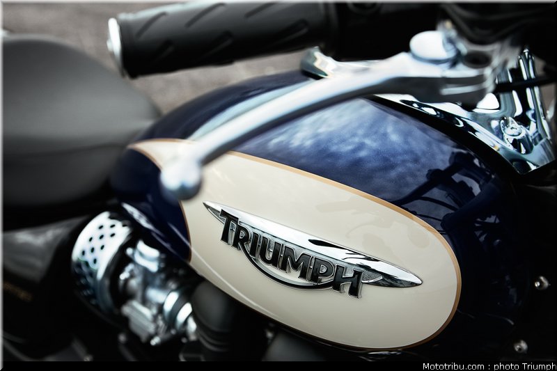 triumph_america_1_2010