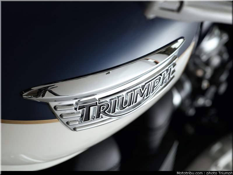 triumph_bonneville_se_1_2010