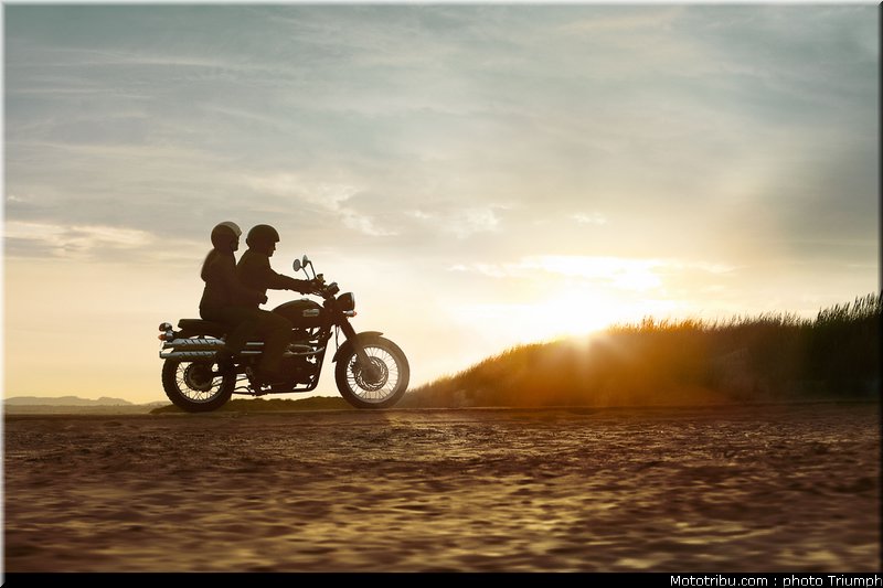 triumph_scrambler_2_2010