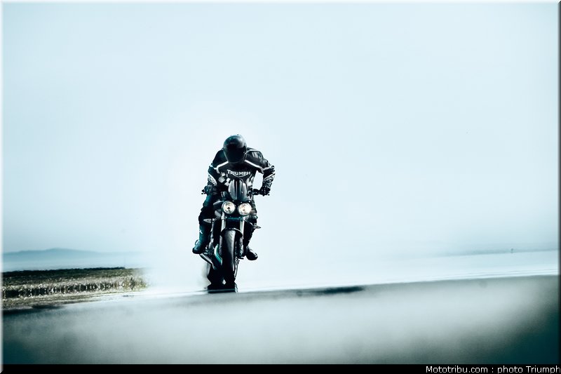 triumph_street_triple_4_2010
