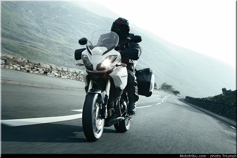 triumph_tiger_1_2010