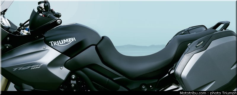triumph_tiger_se_2_2010