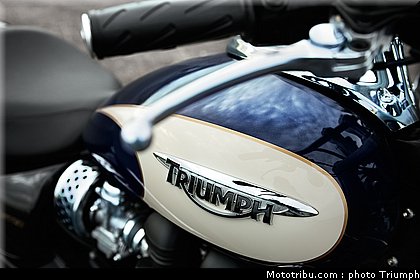 triumph_america_1_2010.jpg