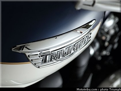 triumph_bonneville_se_1_2010.jpg