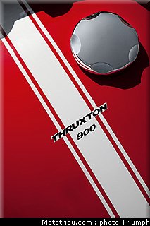 triumph_thruxton_3_2010.jpg