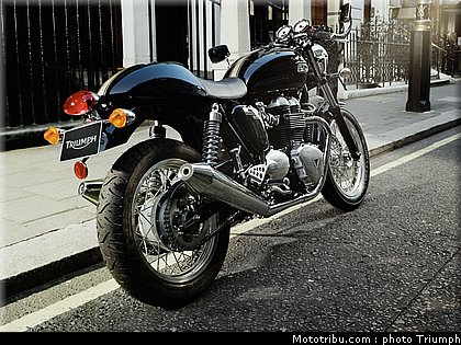triumph_thruxton_4_2010.jpg