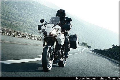 triumph_tiger_1_2010.jpg