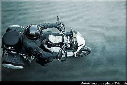 triumph_tiger_2_2010.jpg