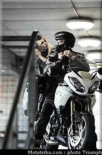 triumph_tiger_3_2010.jpg